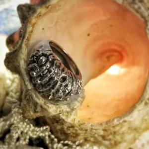 Coral Silver Ring